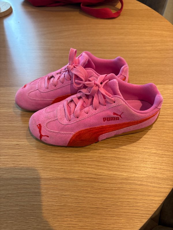 Puma bleikir