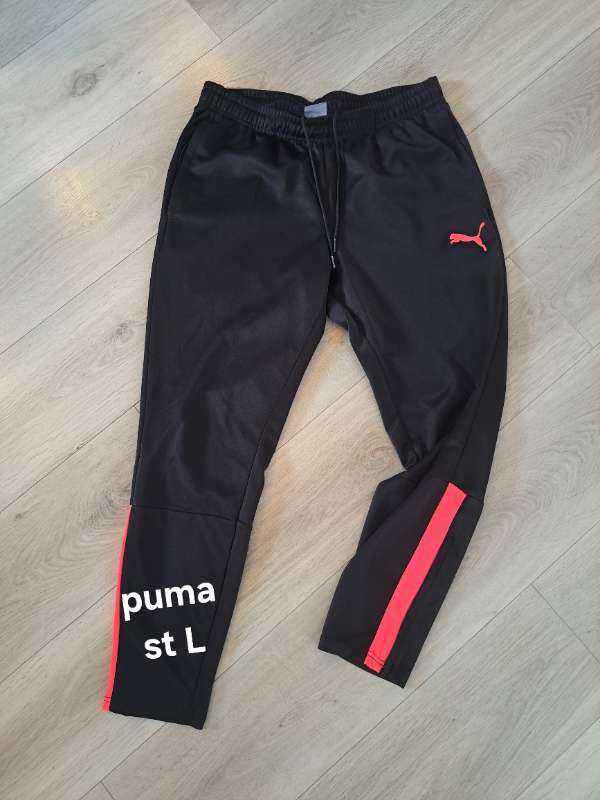 Puma buxur