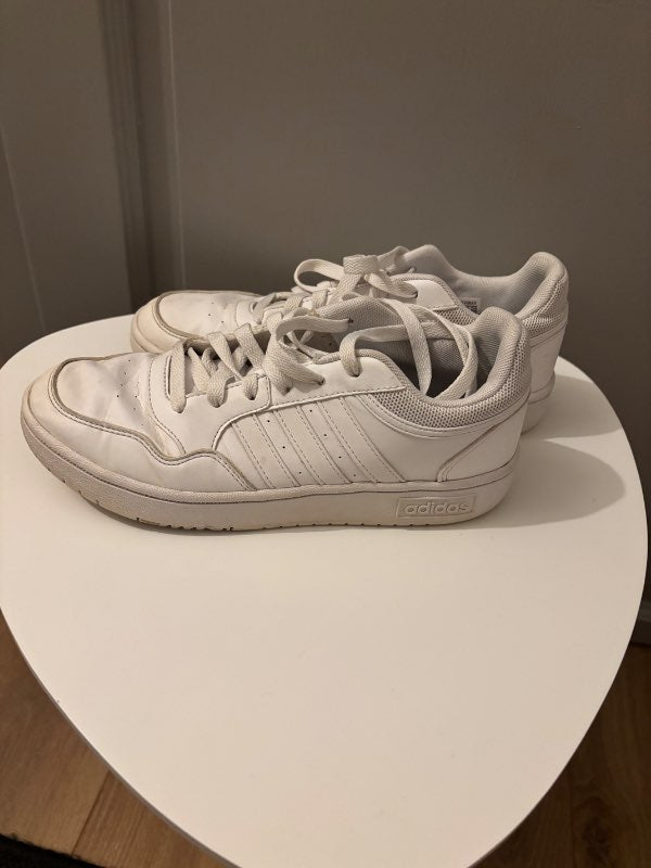 White Adidas
