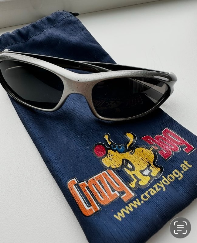 Crazy dog ​​sunglasses