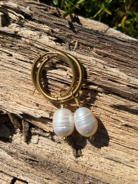 Eyrnalokkar m / Ferskvatsperlu