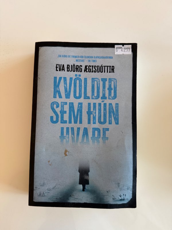Bók - kvöldið sem hún hvarf