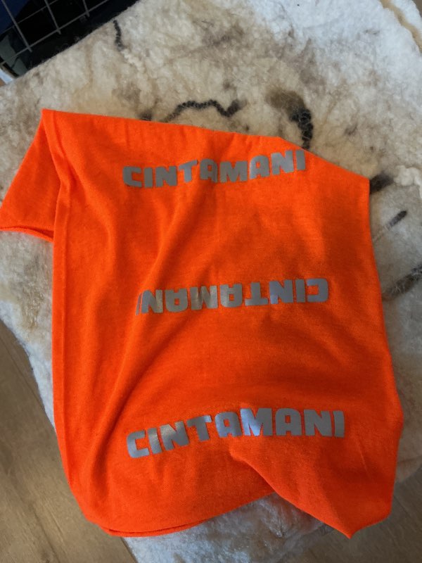 Cintamani buff