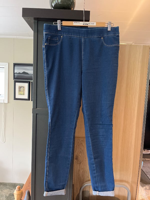 Zizzi jeggins