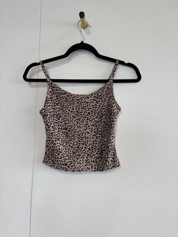 Cheeta